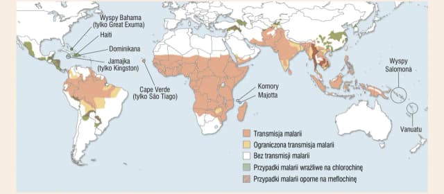 Jaki lek na malarię? Kluczowe informacje o skutecznych terapiach Jaki lek na malarię? Kluczowe informacje o skutecznych terapiach