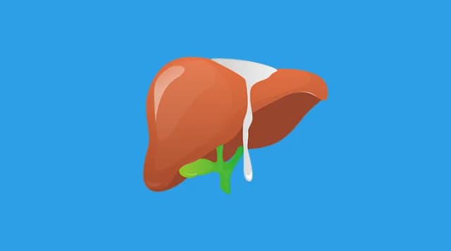 Badanie ALT - kluczowe informacje, które musisz znać o zdrowiu wątroby Badanie ALT - kluczowe informacje, które musisz znać o zdrowiu wątroby